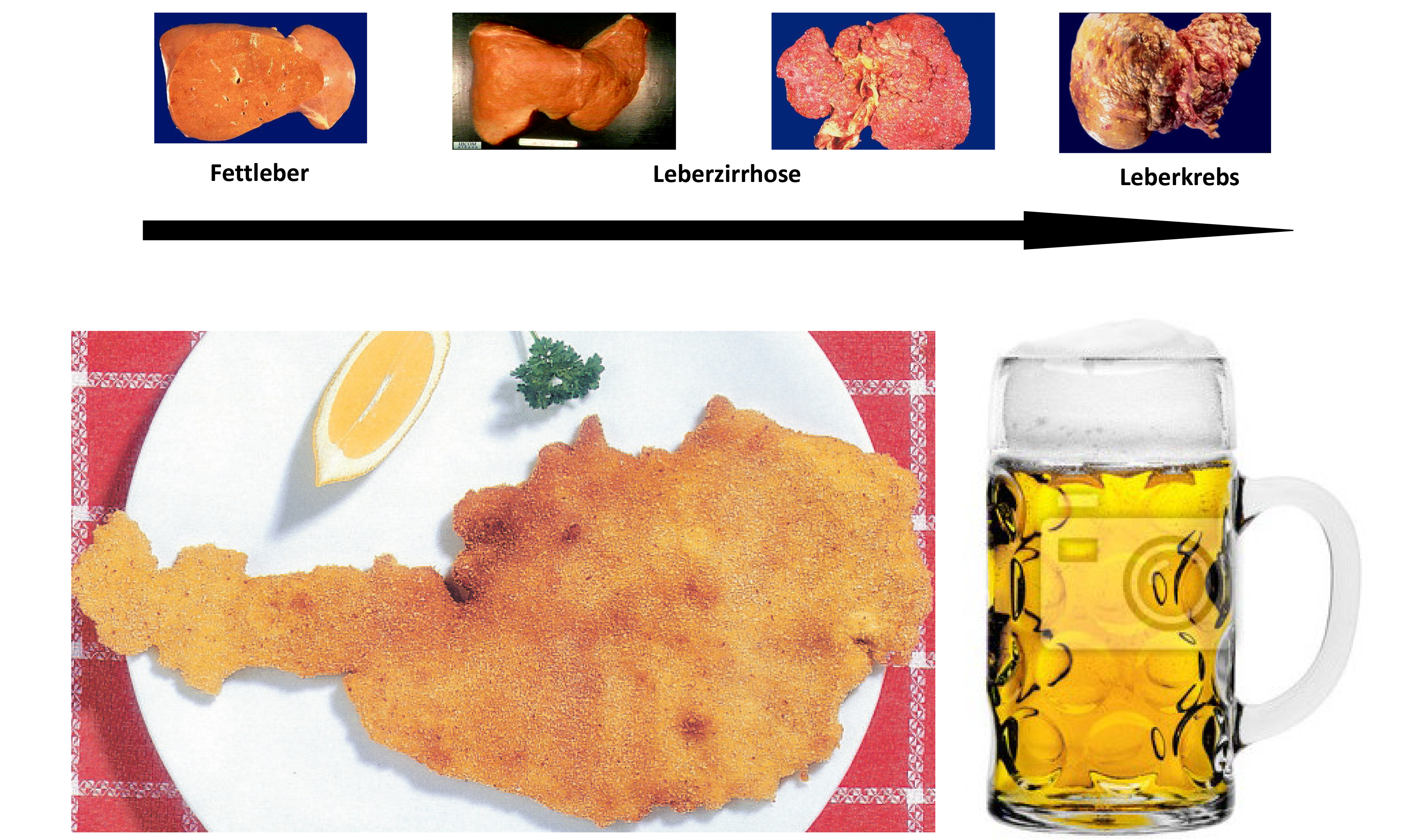 PowerPoint-Präsentation